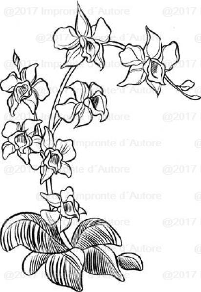 Impronte d'Autore Stamp Orchidea Selvaggia