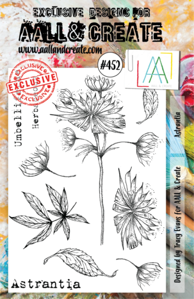 AALL & Create Clear Stamps A5 Set #452 Astrantia