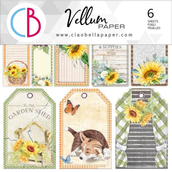 Ciao Bella 6x6 Vellum Paper Farmhouse Garden #003