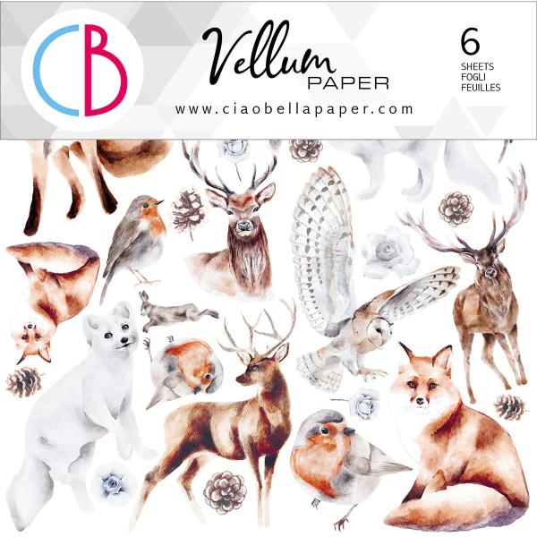 Ciao Bella 6x6 Vellum Paper Winter Journey #007