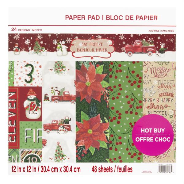 Craft Smith 12x12 Inch Paper Pad Say Freeze II