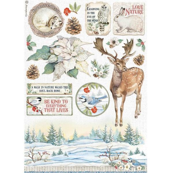 Stamperia A4 Rice Paper Winter Tales Poinsettia #4585