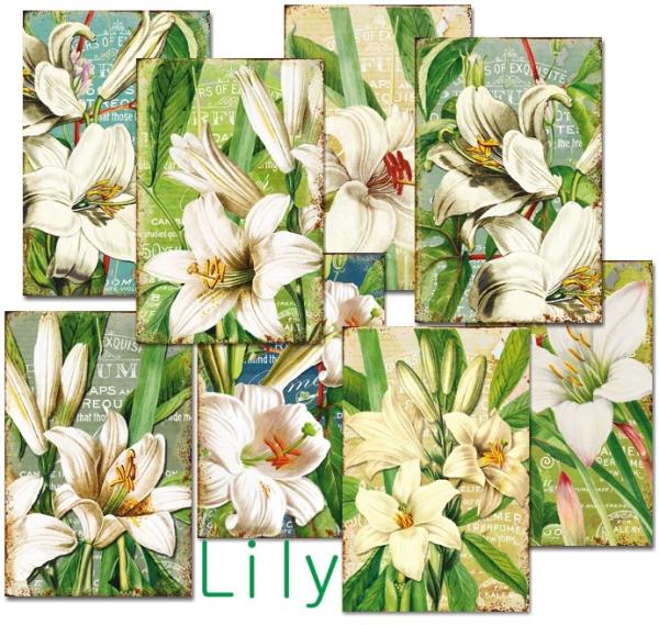 Decorer Mini Scrapbook Paper Set Lily
