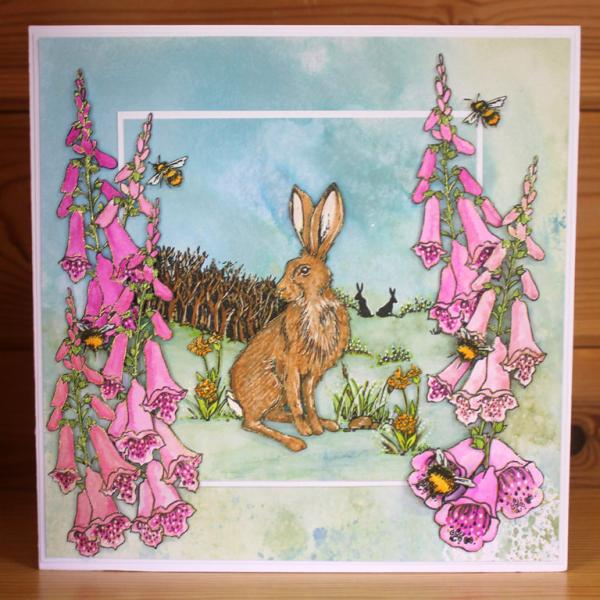 Hobby Art Clear Stamps Boxing Hares