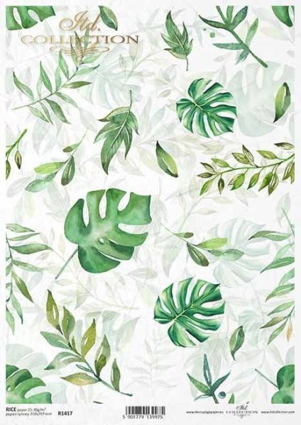 ITD Collection A4 Rice Paper Monstera R1417