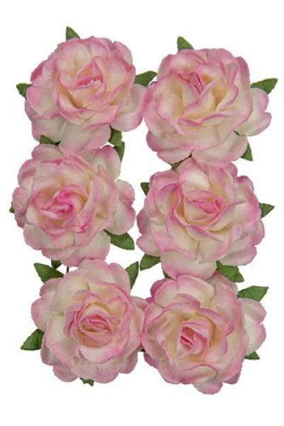 Mulberry Flowers Jubilee Roses 3 cm White-Pink