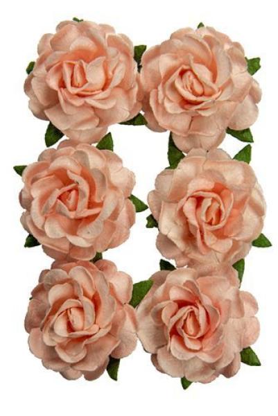 Mulberry Flowers Jubilee Roses 3 cm Salmon