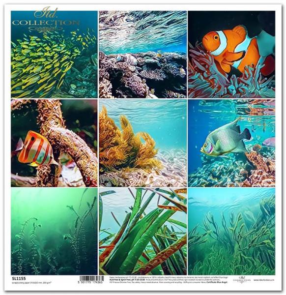 ITD Collection 12x12 Paper Sheet The Search for Atlantis #1155