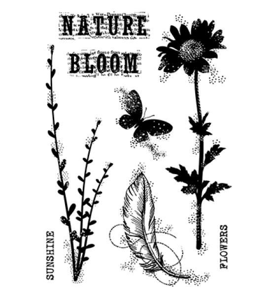 Woodware Clear Stamp Blooming Nature FRS782
