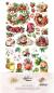 Preview: #28 Alchemy of Art Extras to Cut Set My Little Baby Fruit