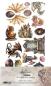 Preview: #50 Alchemy of Art The Legends Of The Dragons Extras to Cut Set
