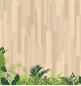 Preview: 12x12 Paper Pad Urban Jungle by Quim Diaz