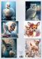 Preview: Maxi Morgana Fantasy 5er Set 4
