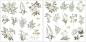 Preview: Craft Consortium 12x12 Paper Pad Belle Fleur #32