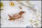 Preview: Craft Consortium Clear Stamp Animals #26