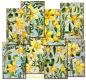 Preview: Decorer Mini Scrapbook Paper Set Jonquil