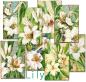 Preview: Decorer Mini Scrapbook Paper Set Lily