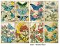 Preview: Decorer Mini Scrapbook Paper Set Butterflies