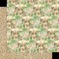 Preview: Graphic 45 Wild & Free 12x12 Inch Collection Pack (4502405)