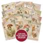 Preview: Hunkydory The Fairy Garden Pocket Pad