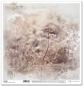 Preview: SLS034 ITD Collection Summer Meadow 12x12 Paper Pad