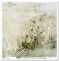 Preview: SLS034 ITD Collection Summer Meadow 12x12 Paper Pad