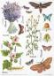Preview: ITD Collection A4 Mixed Media Art Journal Provence