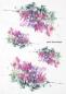 Preview: ITD Collection A4 Rice Paper Creative Set Beautiful Flowers