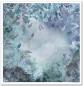 Preview: ITD Collection Paper Pad 12x12 Christmas in Blue