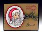 Preview: Impression Obsession Clear Stamps Set North Pole