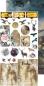 Preview: Craft O Clock Mixed Media Kit A Twinkle of Sunrise