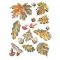Preview: K3PTA5676 Stamperia Whispering Woods A5 Soft Mould Leaves