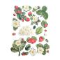 Preview: KACMA575 Stamperia Hidden Grove A5 Silicone Mould Strawberries