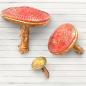 Preview: KACMA588 Stamperia Whispering Woods A5 Silicone Mould Mushrooms