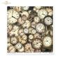 Preview: SLS092 ITD Collection Alice's Magic 12x12 Paper Pad vol II