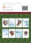 Preview: The Paper Tree Winter Berries A6 Toppers #1235