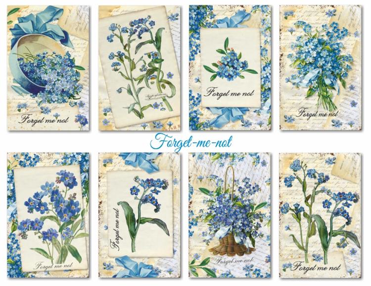 #145 Decorer Mini Scrapbook Paper Set All Forget-me-not