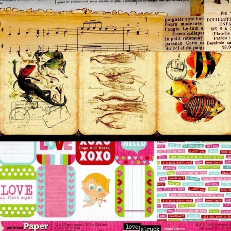 12x12 Inch Assorted Pack 15er Set