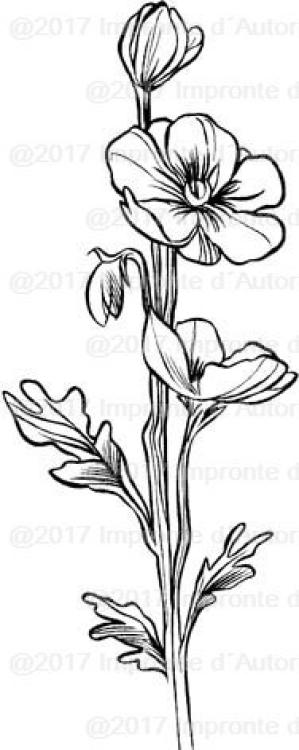 Impronte d'Autore Stamp Poppy