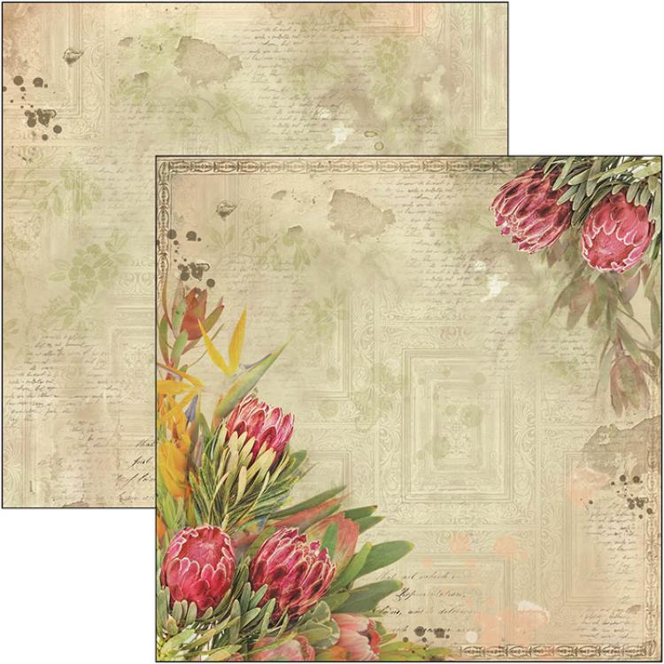 Ciao Bella 6x6 Paper Pad The Muse #CBQ028