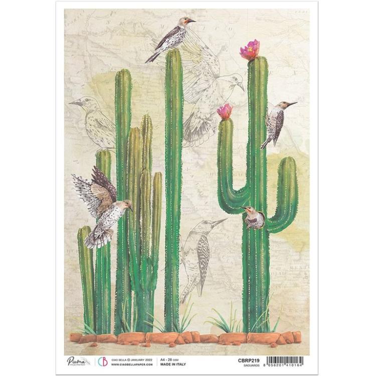 Ciao Bella A4 Rice Paper Saguaros #219