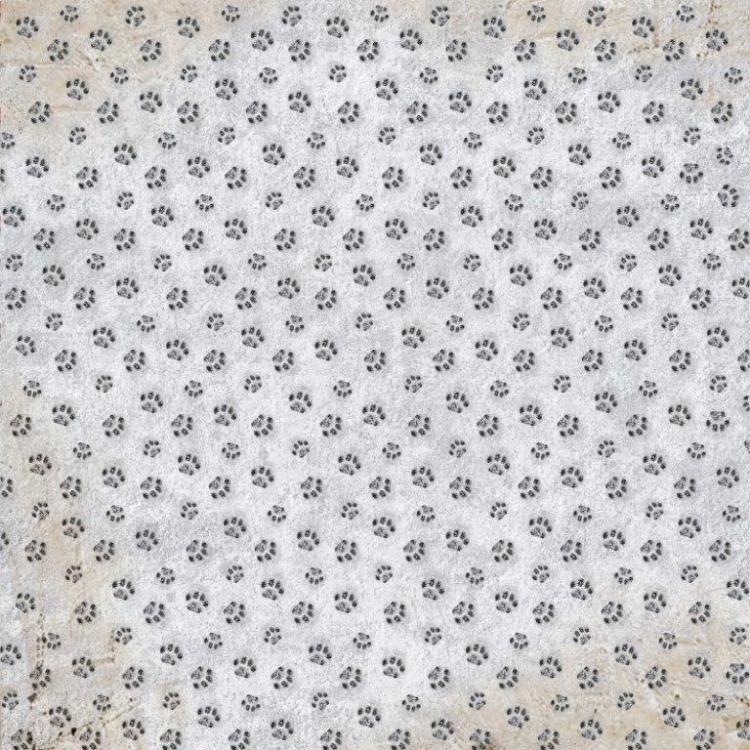 SALE Ciao Bella Scrapbooking Paper Sheet The Rink #CBSS052 SET