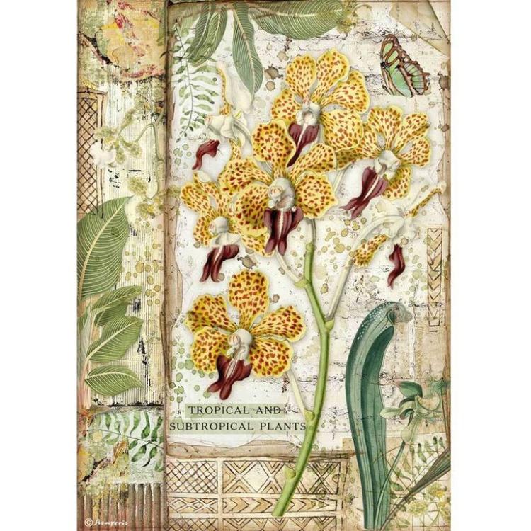 Stamperia A4 Rice Paper Orchid DFSA4532