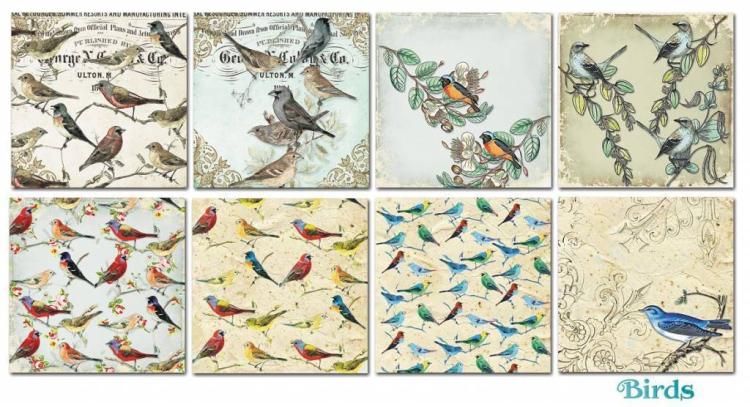 #219 Decorer 6x6 Paper Pad Birds