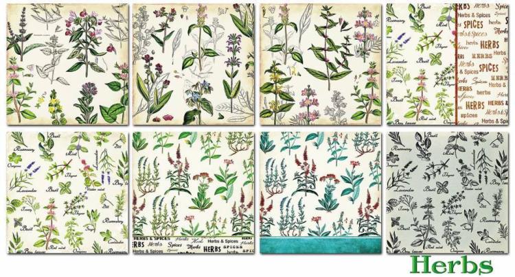 Decorer 6x6 Paper Pad Herbs
