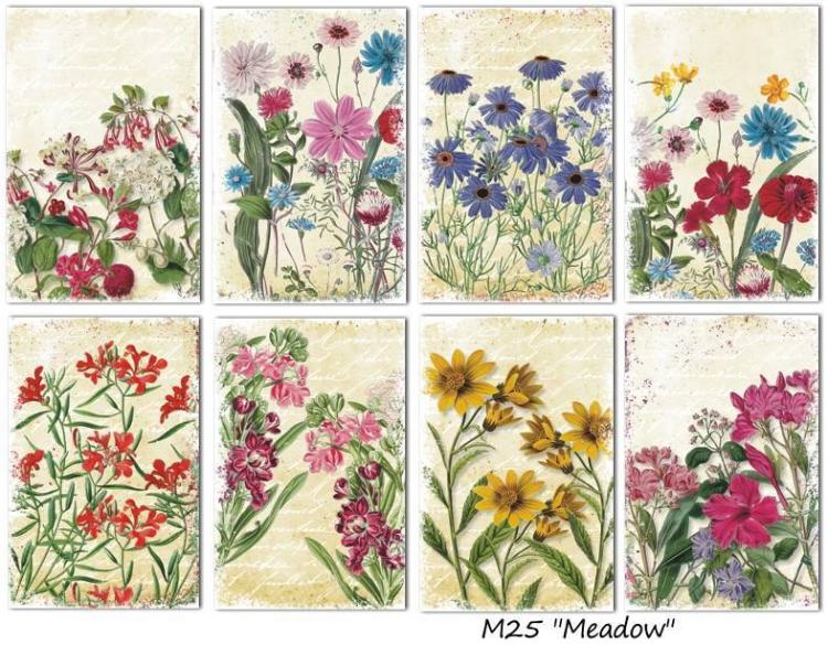 #25 Decorer Mini Scrapbook Paper Set Meadow