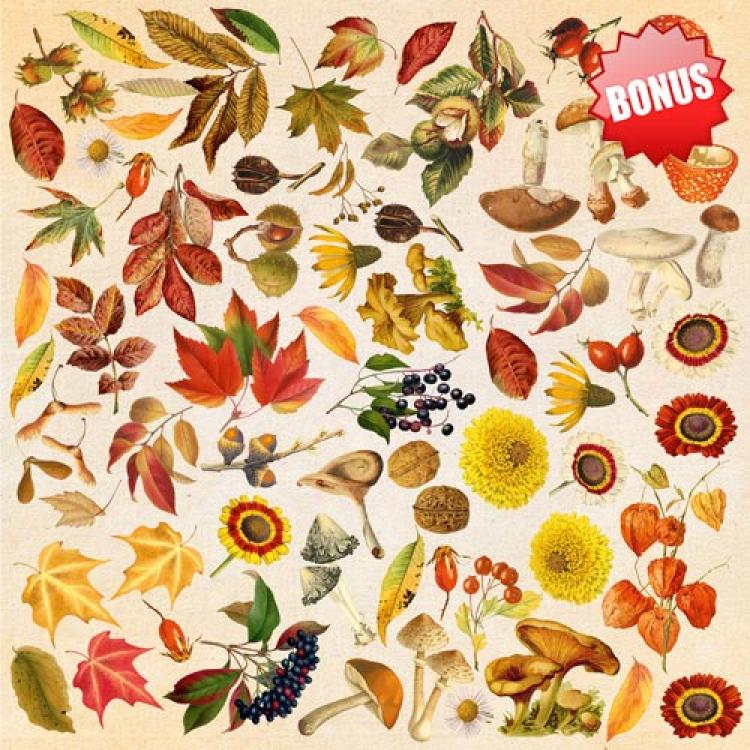 Fabrika Decoru 12x12 Paper Pack Autumn Botanical Diary