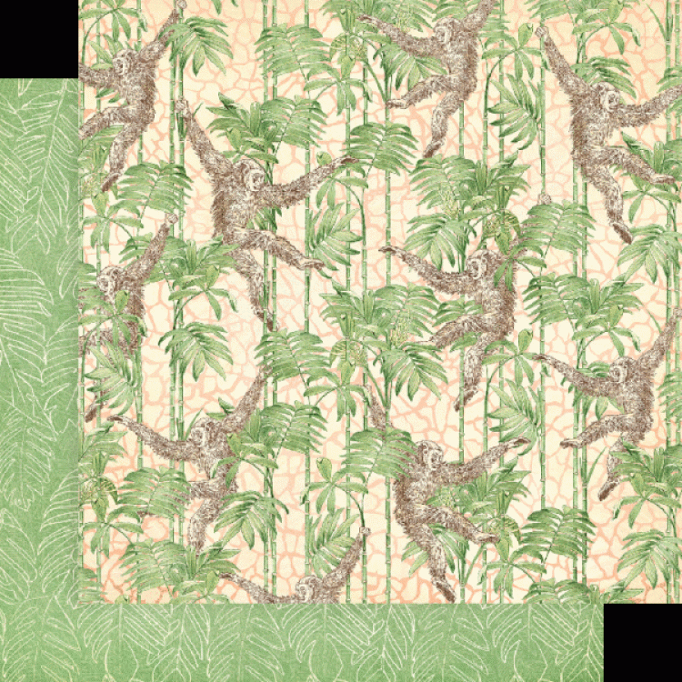 Graphic 45 Wild & Free 12x12 Inch Collection Pack (4502405)