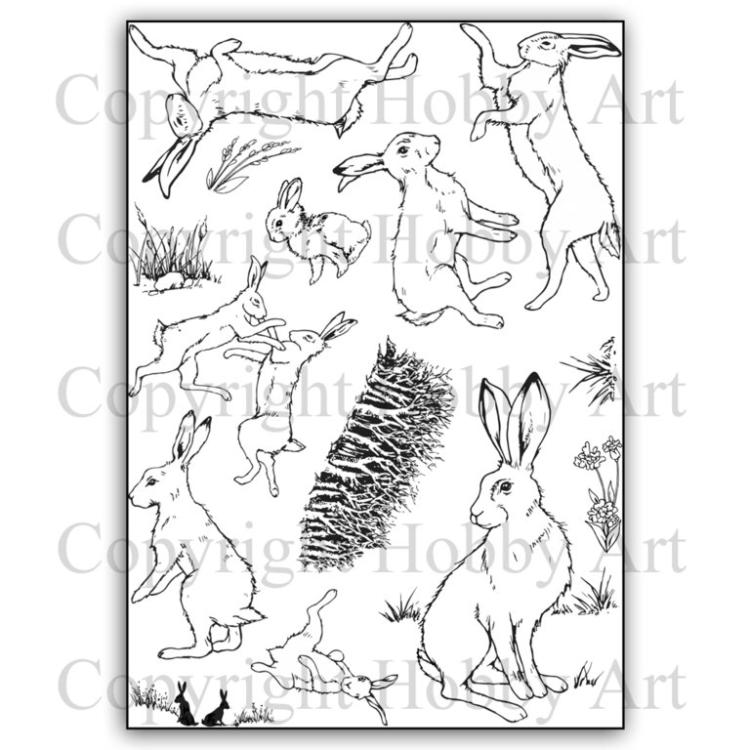 Hobby Art Clear Stamps Boxing Hares