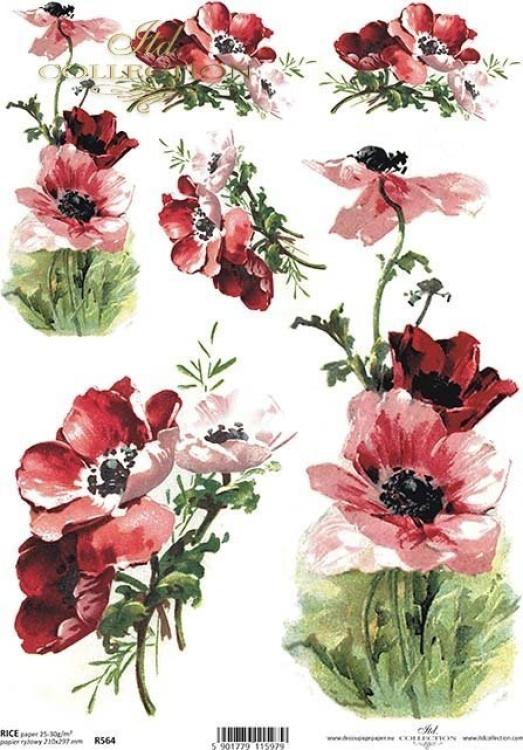 ITD A4 Rice Paper Garden Poppies #0564